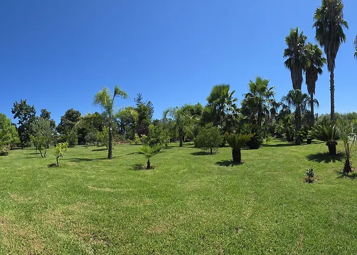 Fare Manuia Holiday home